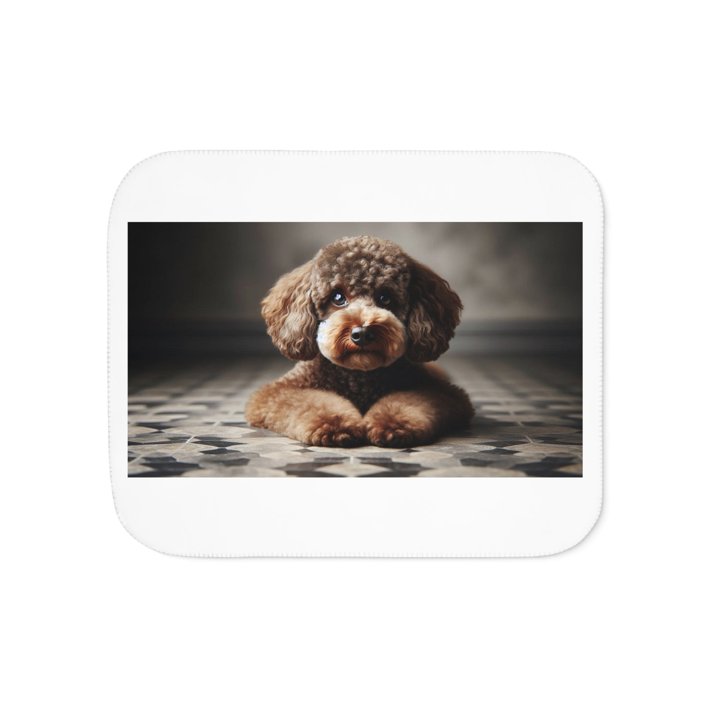 Cozy Sherpa Blanket in Two Warm Colors, Soft Plush Throw for Home, Ideal for Camping, Gifts, and Winter Evenings, Pet Lovers Blankets