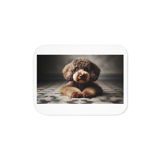 Cozy Sherpa Blanket in Two Warm Colors, Soft Plush Throw for Home, Ideal for Camping, Gifts, and Winter Evenings, Pet Lovers Blankets