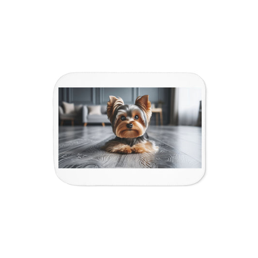 Cozy Sherpa Blanket, Soft Textured Throw, Pet-Friendly Decor, Perfect for Home, Gifts and Cozy Evenings, Two-Tone Design